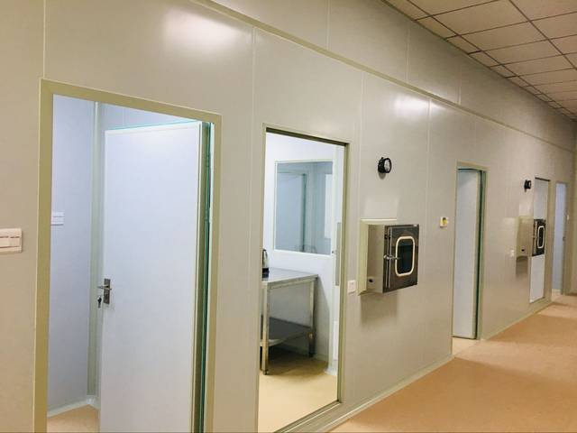 3個基因編輯小型豬新品系被認定為中國實驗動物新資源